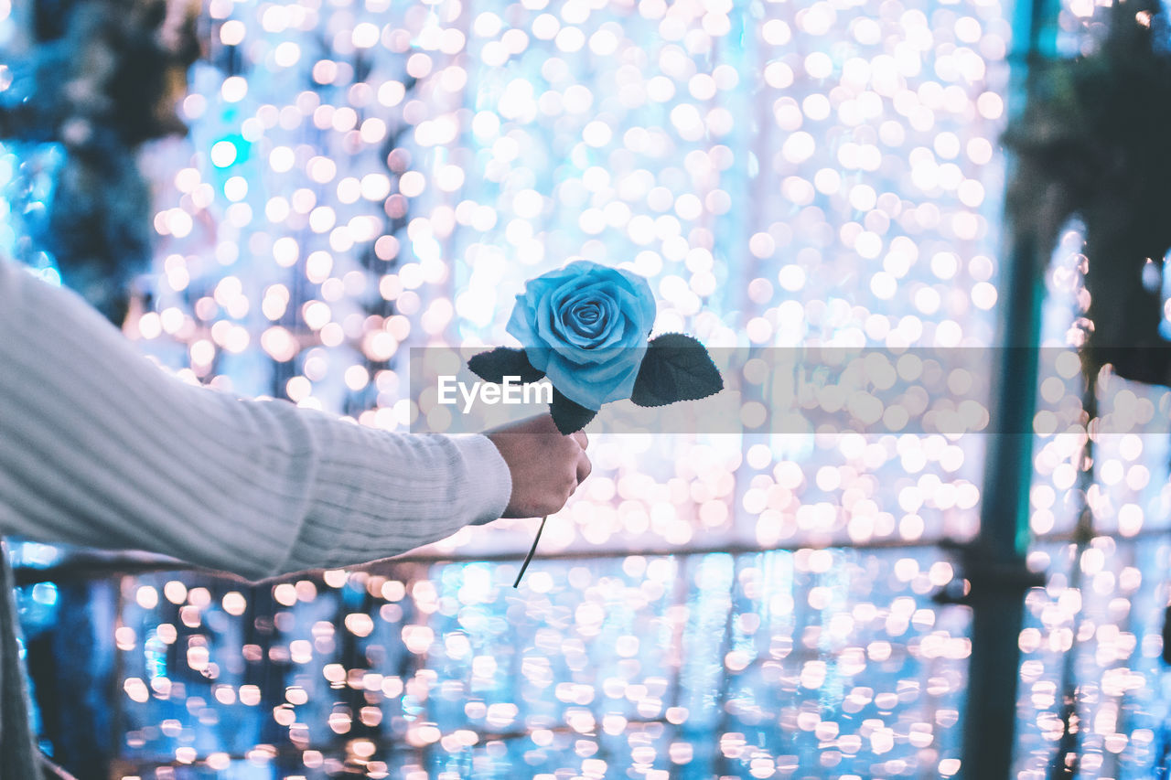 Cropped hand of person holding rose against illuminated lights