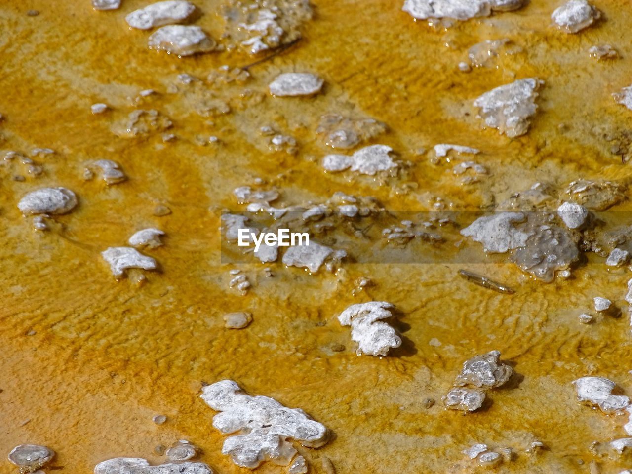 FULL FRAME SHOT OF YELLOW ROCKS