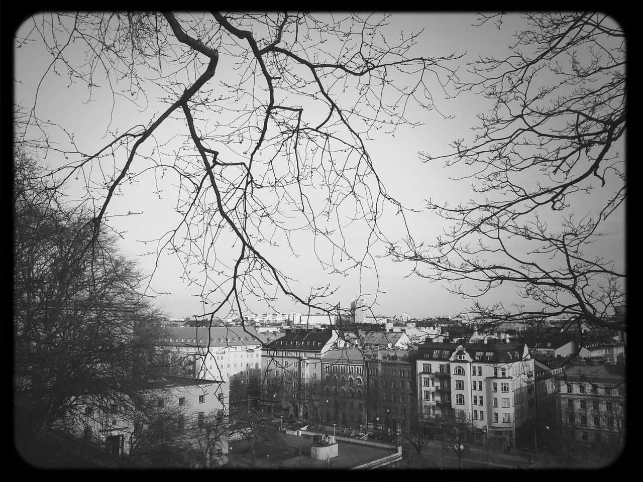 High angle view of buildings seen through branches