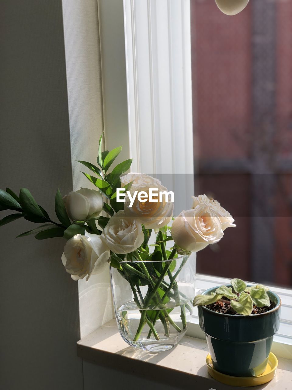 Close-up of white roses in vase on table