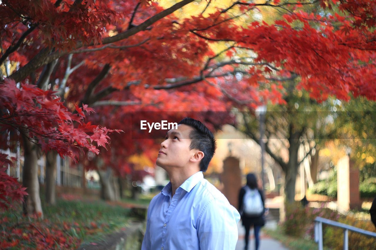 Young man looking away while standing by trees during autumn