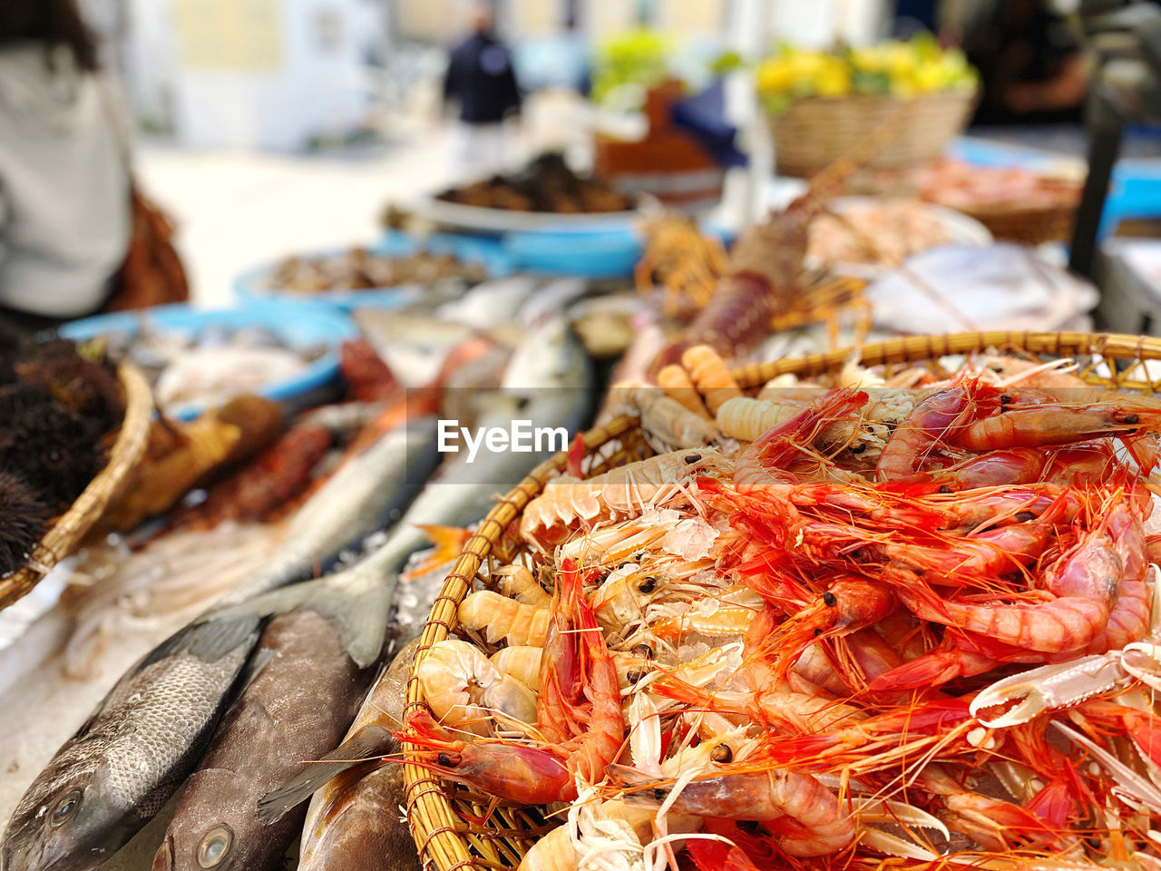 close-up of seafood for sale in market