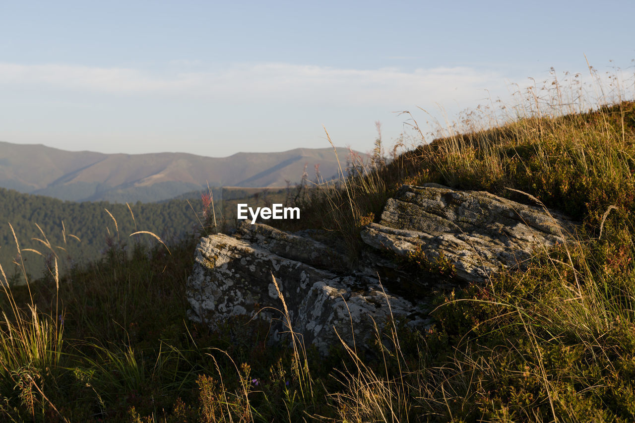 nature, wilderness, mountain, sky, plant, environment, landscape, scenics - nature, beauty in nature, land, no people, grass, rock, tranquility, natural environment, tranquil scene, ridge, non-urban scene, day, outdoors, tree, rural area, cloud, travel destinations, water, autumn, remote, travel, terrain