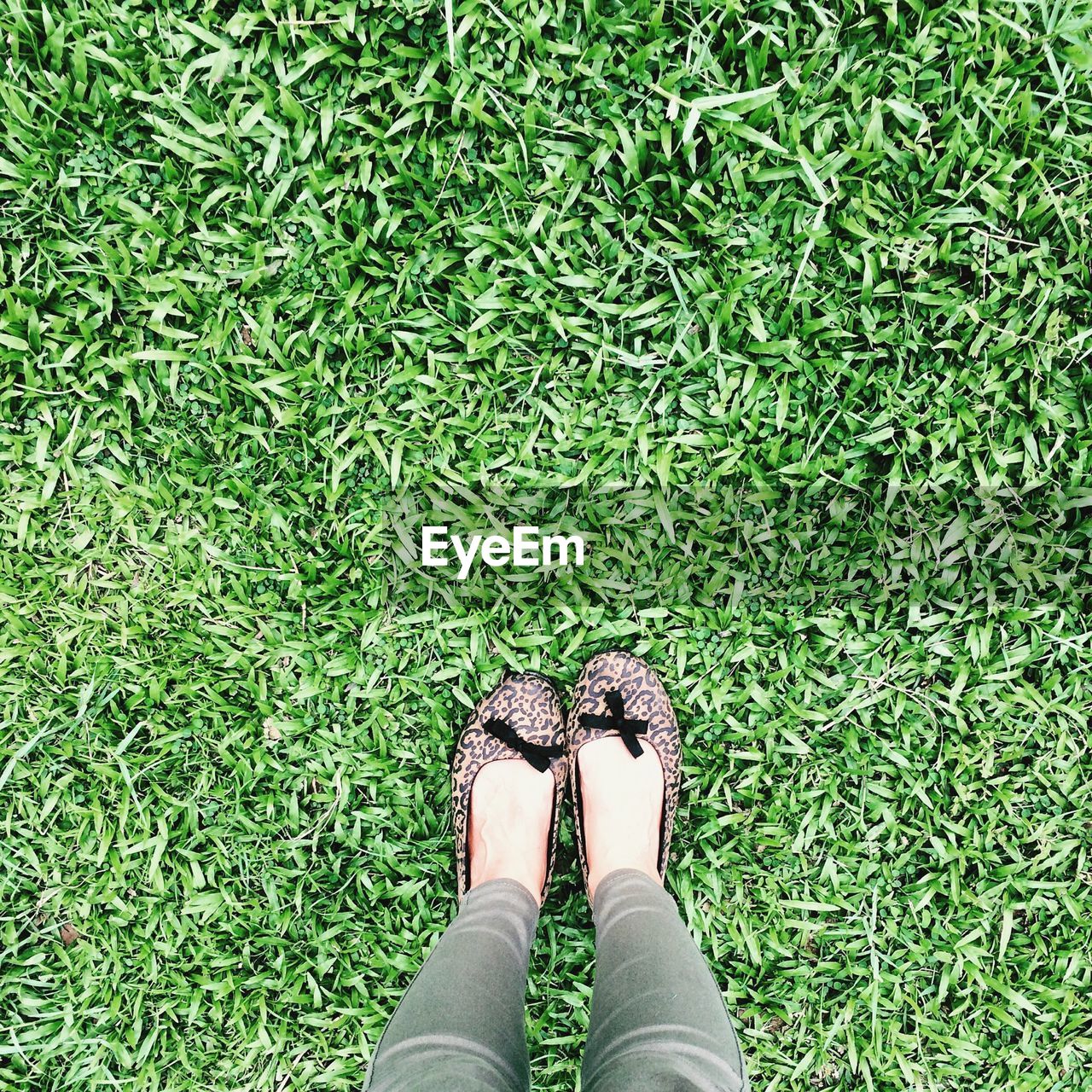 Low section of woman standing on grassy field