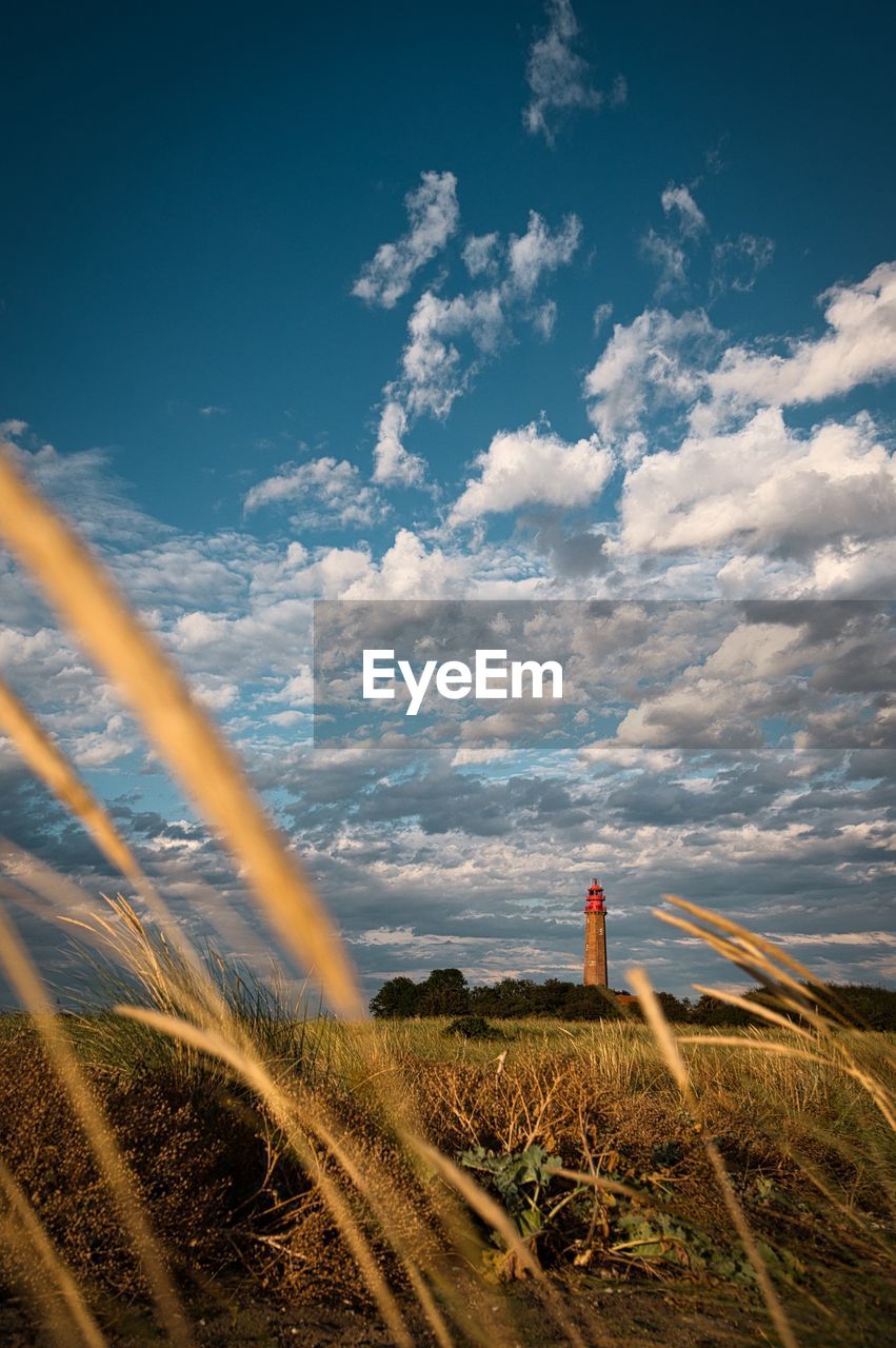 SCENIC VIEW OF FARM AGAINST SKY