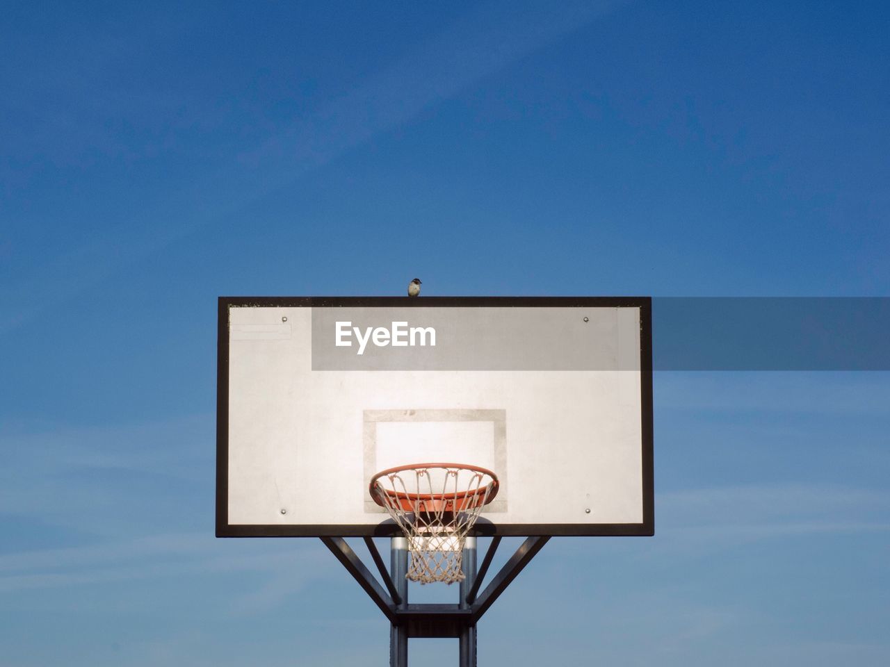 Low angle view of basketball hoop against wall