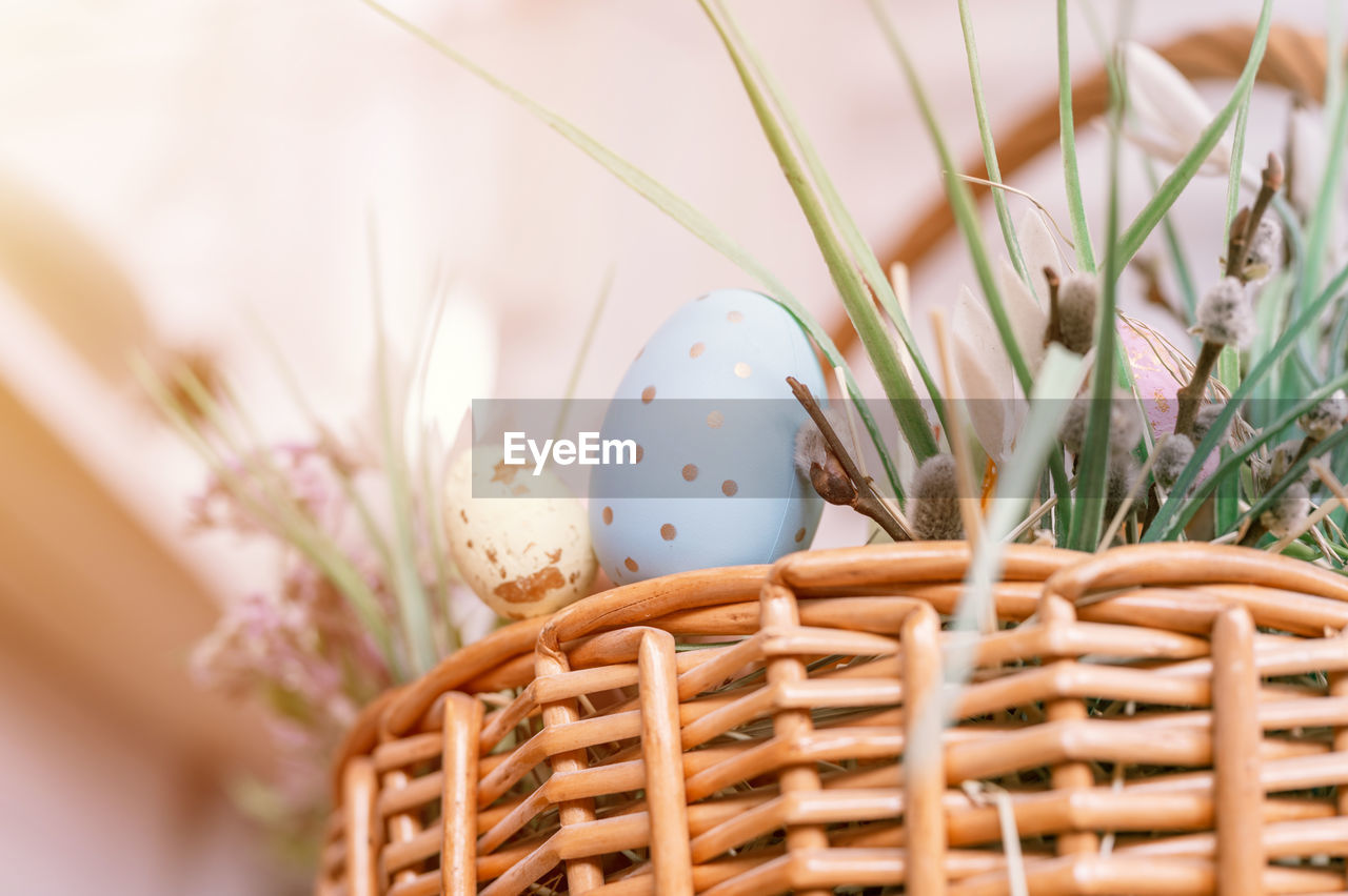 basket, plant, wicker, nature, flower, easter, container, egg, tradition, celebration, springtime, flowering plant, food, no people, beauty in nature, easter egg, freshness, close-up, selective focus, food and drink, holiday, grass, outdoors, event, decoration, growth, pastel colored, summer
