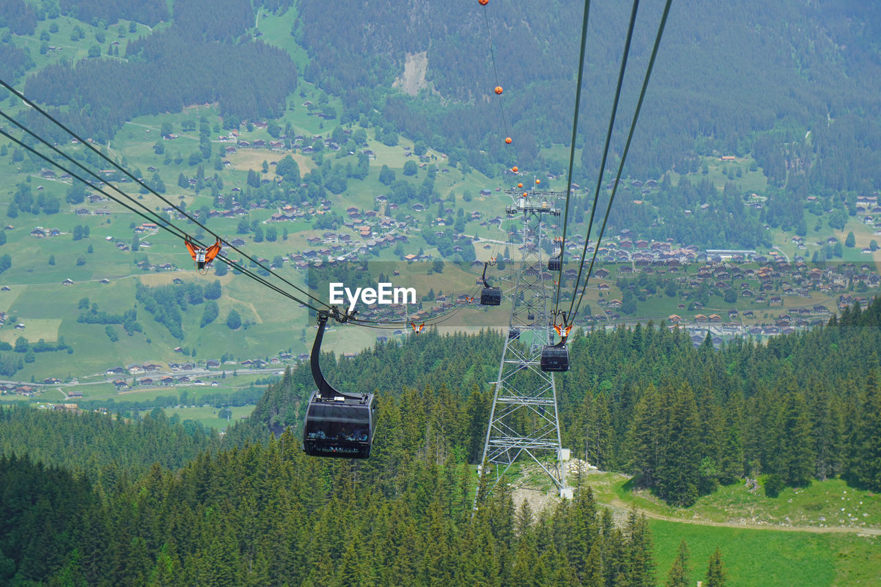 cable car, overhead cable car, mountain range, plant, nature, transportation, scenics - nature, landscape, mountain, land, beauty in nature, ski lift, tree, environment, mode of transportation, green, cable, day, growth, travel, forest, tranquil scene, tranquility, outdoors, no people, field, non-urban scene, high angle view, sky, valley, rural scene