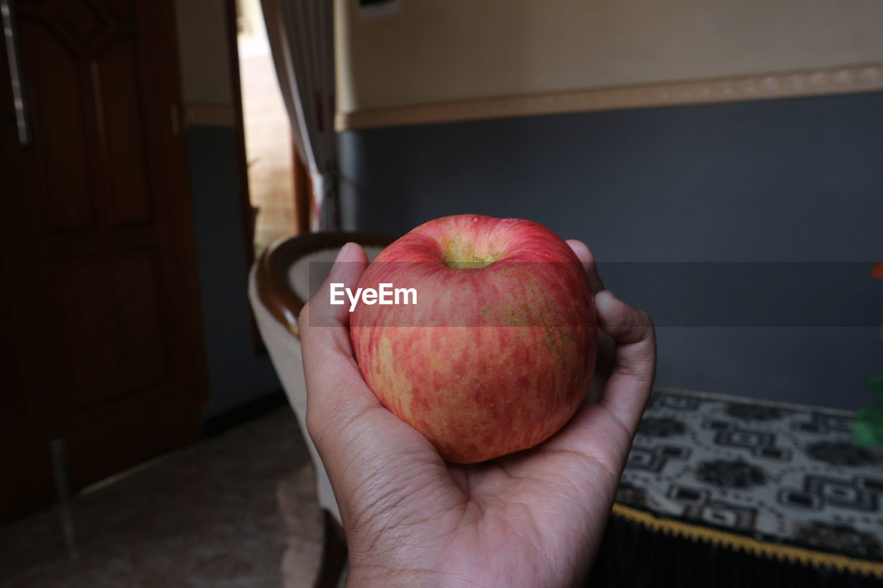 hand, healthy eating, food and drink, food, holding, fruit, wellbeing, freshness, one person, apple - fruit, apple, indoors, produce, lifestyles, plant, close-up, focus on foreground, adult, red, flower, kitchen, domestic kitchen, domestic room, organic, personal perspective