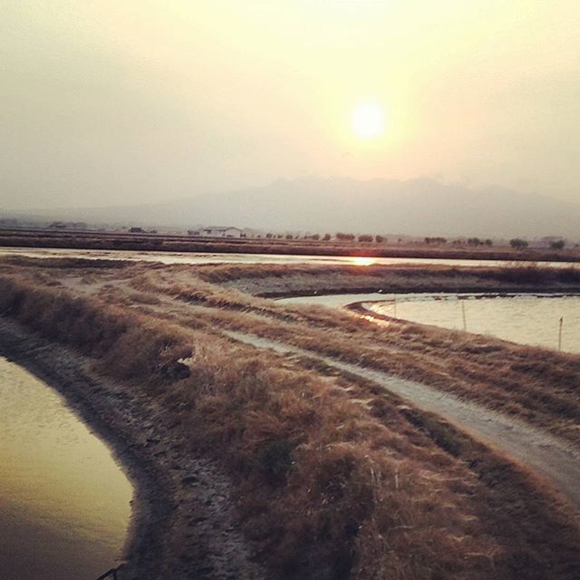 VIEW OF LANDSCAPE AT SUNSET