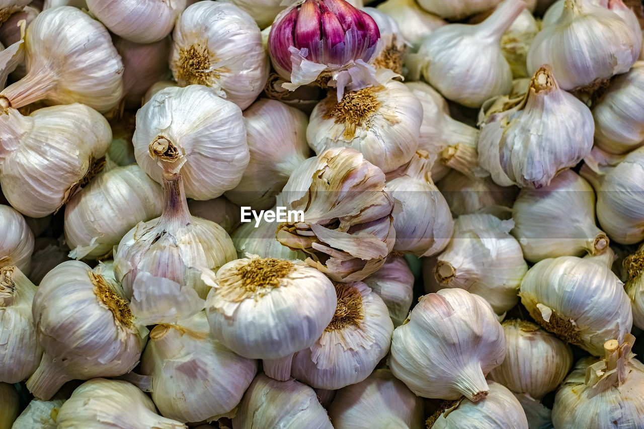 Fresh white garlic on market table