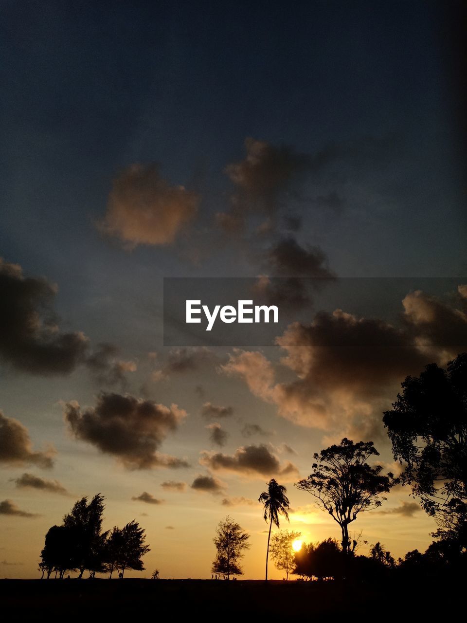 LOW ANGLE VIEW OF SILHOUETTE TREES AGAINST SKY