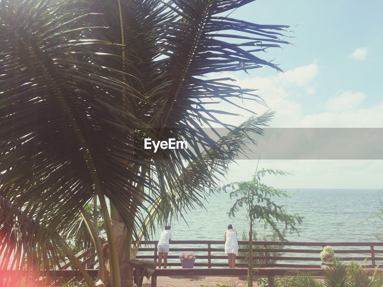 Rear view of women standing by palm tree against sea