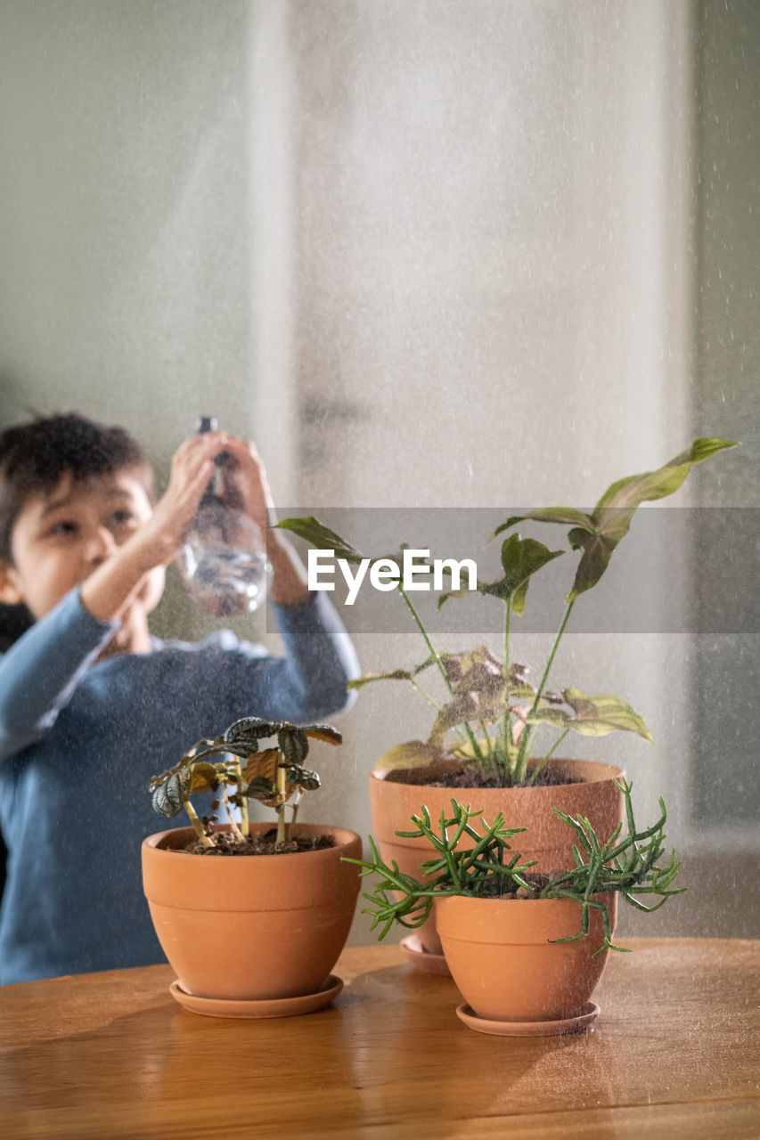 A boy sprays flowers in orange clay terracotta pots with a spray gun.