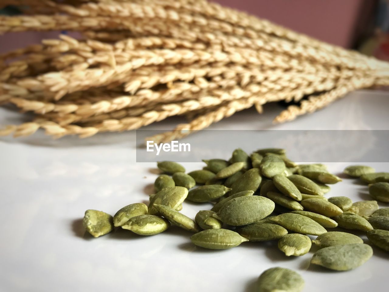 Close-up of seed and wheat plants on table