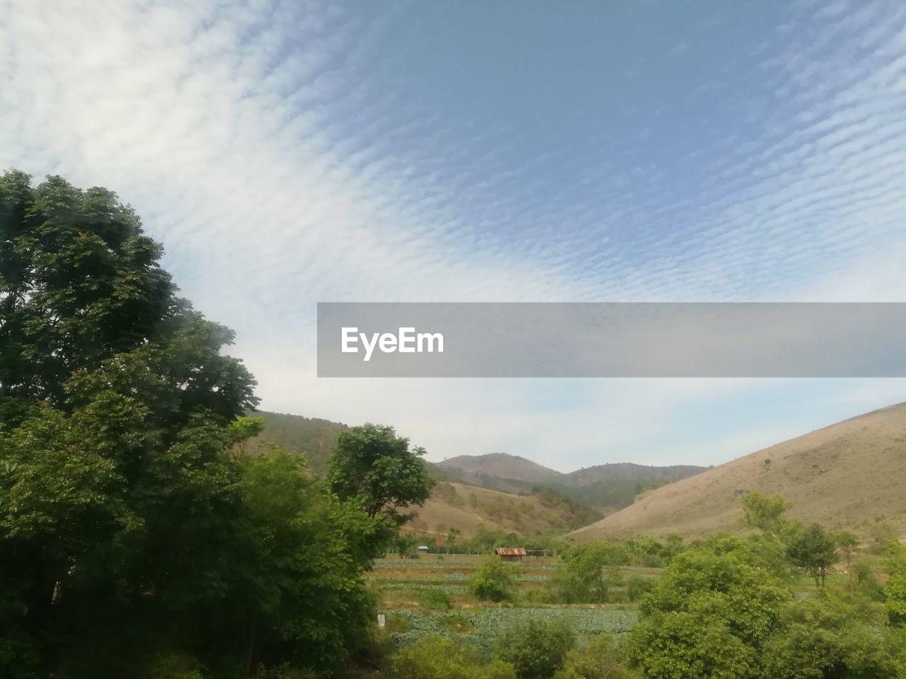 SCENIC VIEW OF TREES AND MOUNTAINS AGAINST SKY