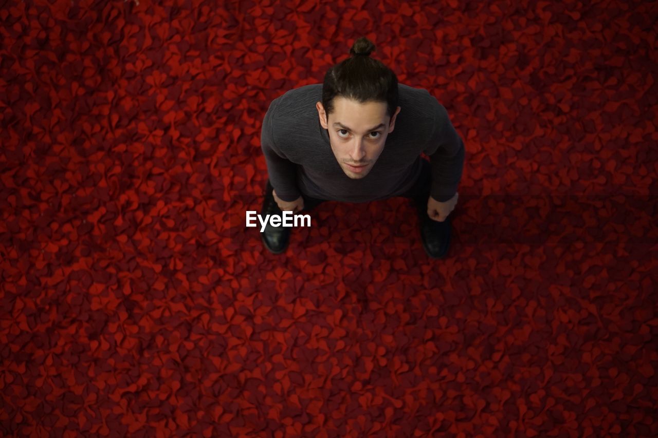 High angle portrait of young man standing on red floor