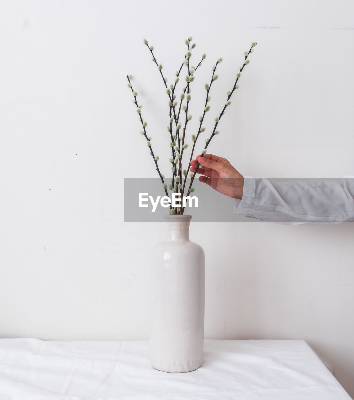 Hand making white flowers bouquet in vase on  white table against white wall