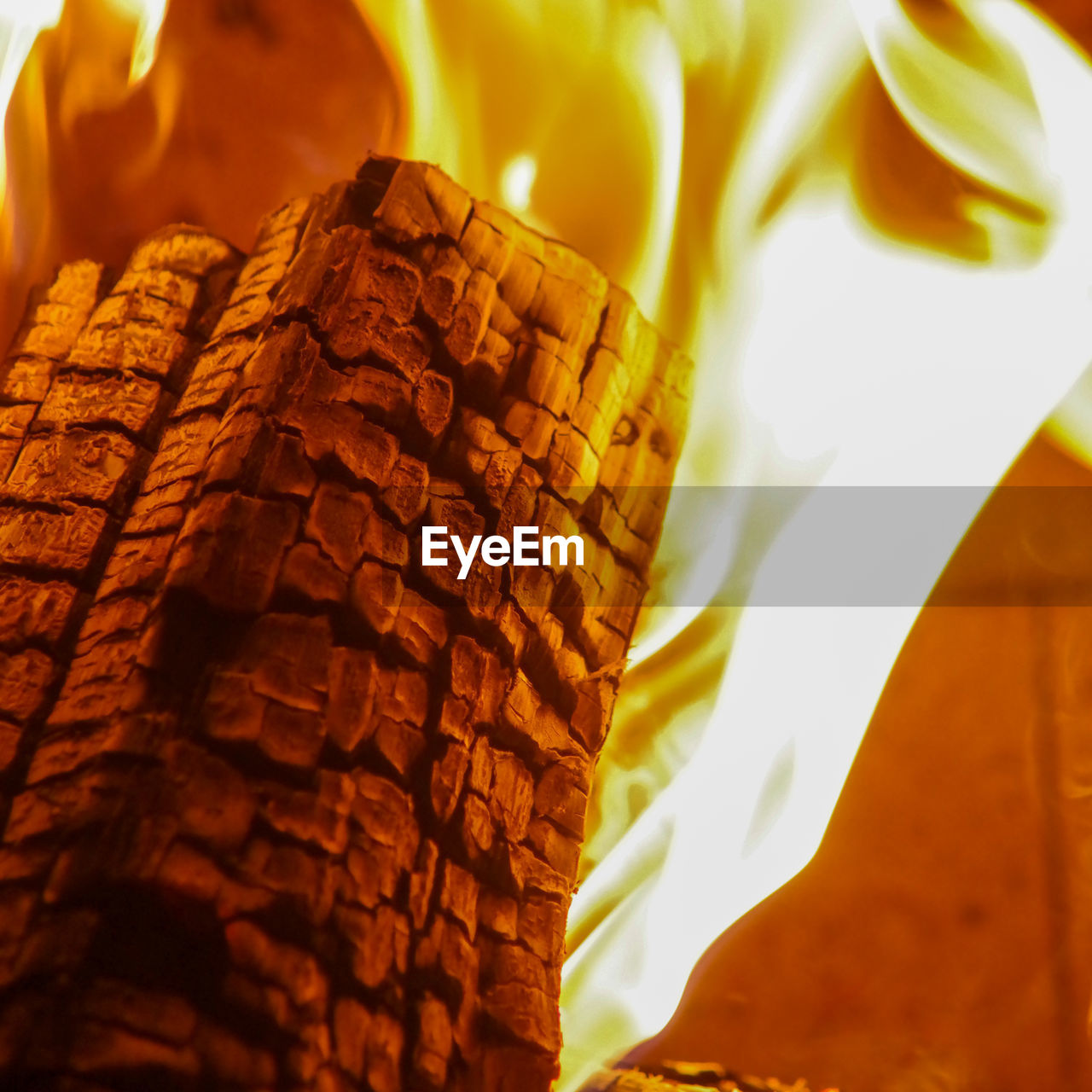 Close-up of burning log in fireplace with leaping flame