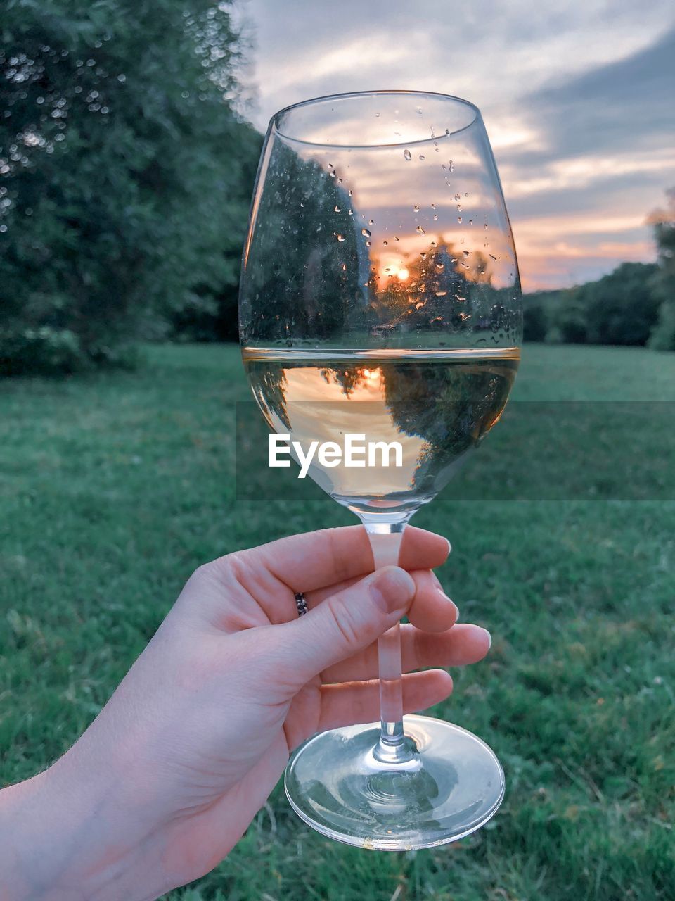 Close-up of person holding drink in glass over grass