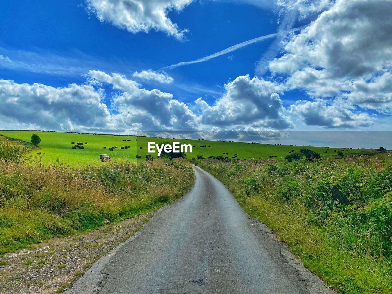 road, sky, landscape, cloud, environment, the way forward, transportation, grass, nature, plant, rural area, grassland, hill, land, prairie, horizon, scenics - nature, diminishing perspective, field, vanishing point, beauty in nature, dirt road, plain, rural scene, no people, meadow, tranquility, green, tranquil scene, non-urban scene, country road, blue, day, travel, plateau, infrastructure, dirt, outdoors, horizon over land, agriculture, highway, empty road, remote, footpath, steppe, single lane road, natural environment, travel destinations, idyllic, cloudscape