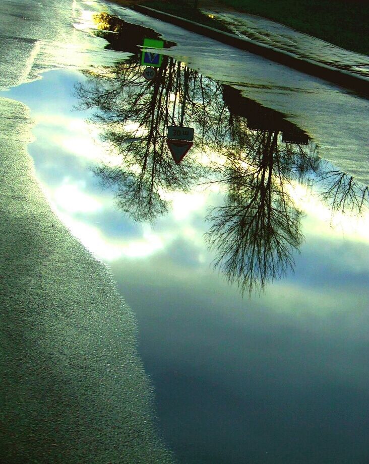 REFLECTION OF TREES IN WATER