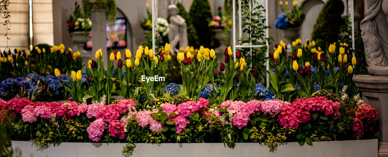 Yellow and red tulips and other flowers in exhibition hall for show.