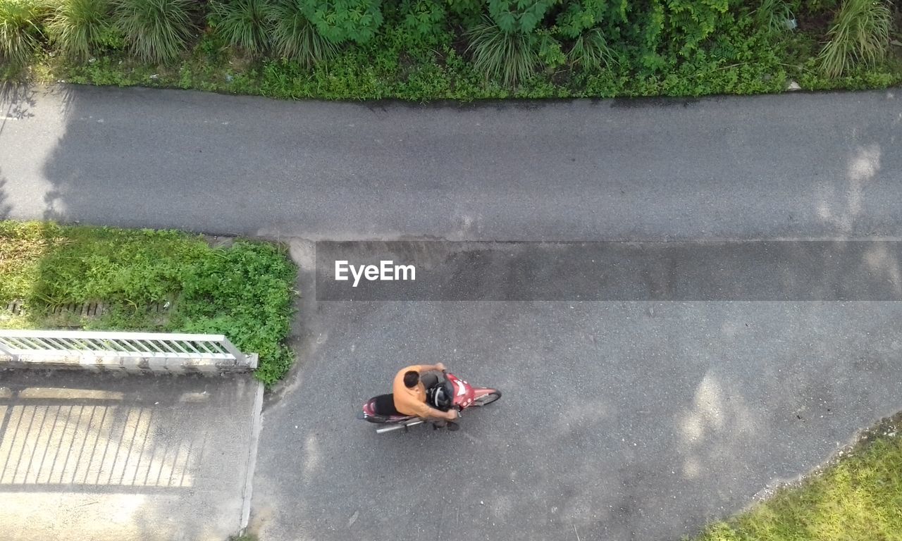 HIGH ANGLE VIEW OF YOUNG WOMAN BY TREE IN PARK