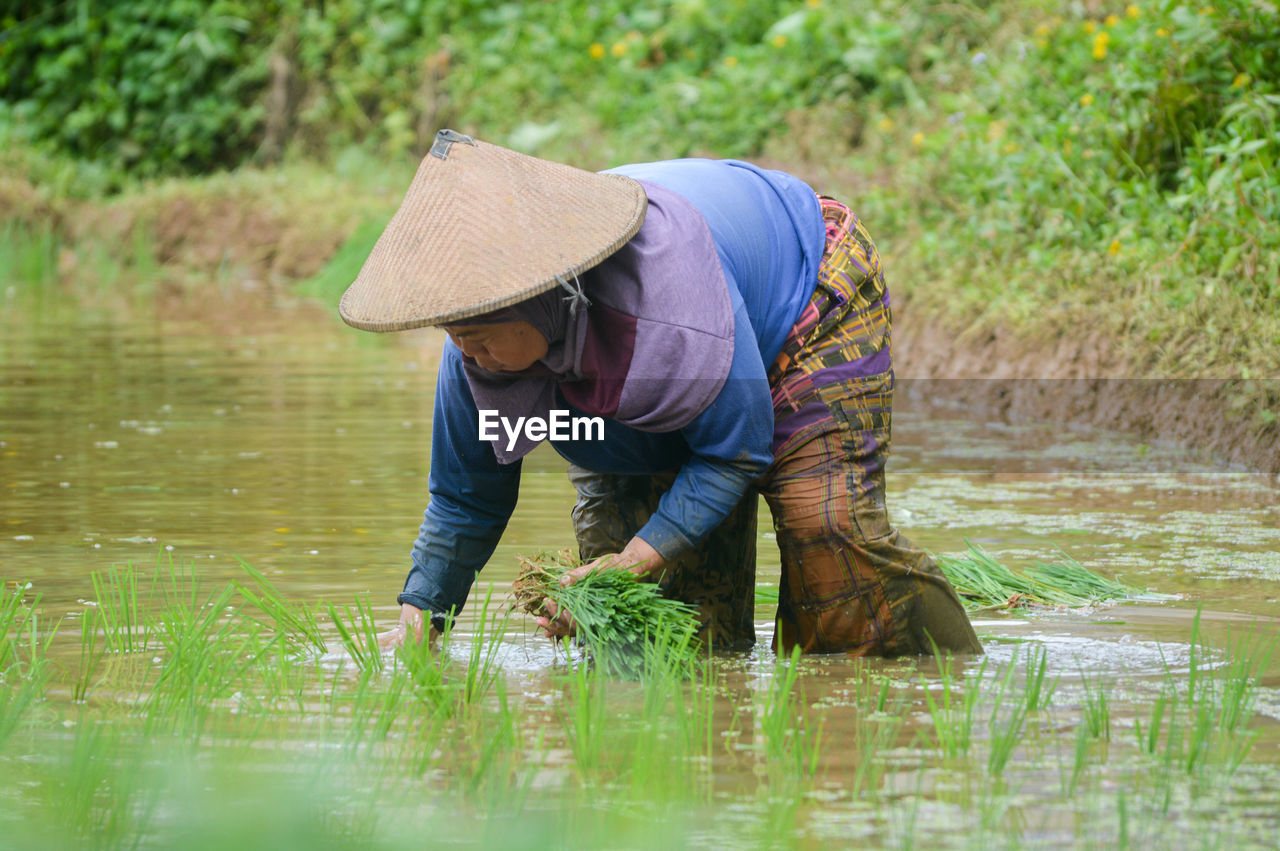 Full length of woman working in water.