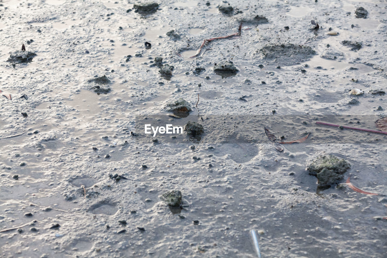 HIGH ANGLE VIEW OF FOOTPRINTS ON SNOW