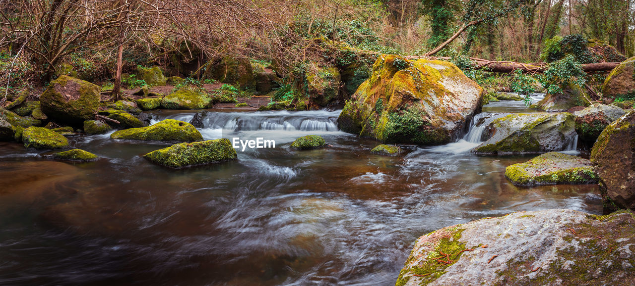 Stream flowing through rocks in forest