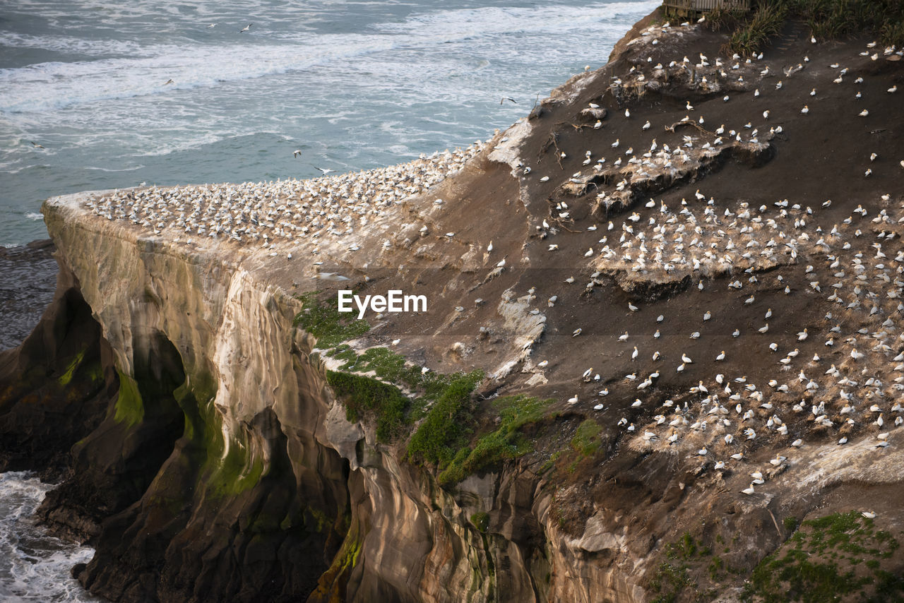 HIGH ANGLE VIEW OF SEA WAVES