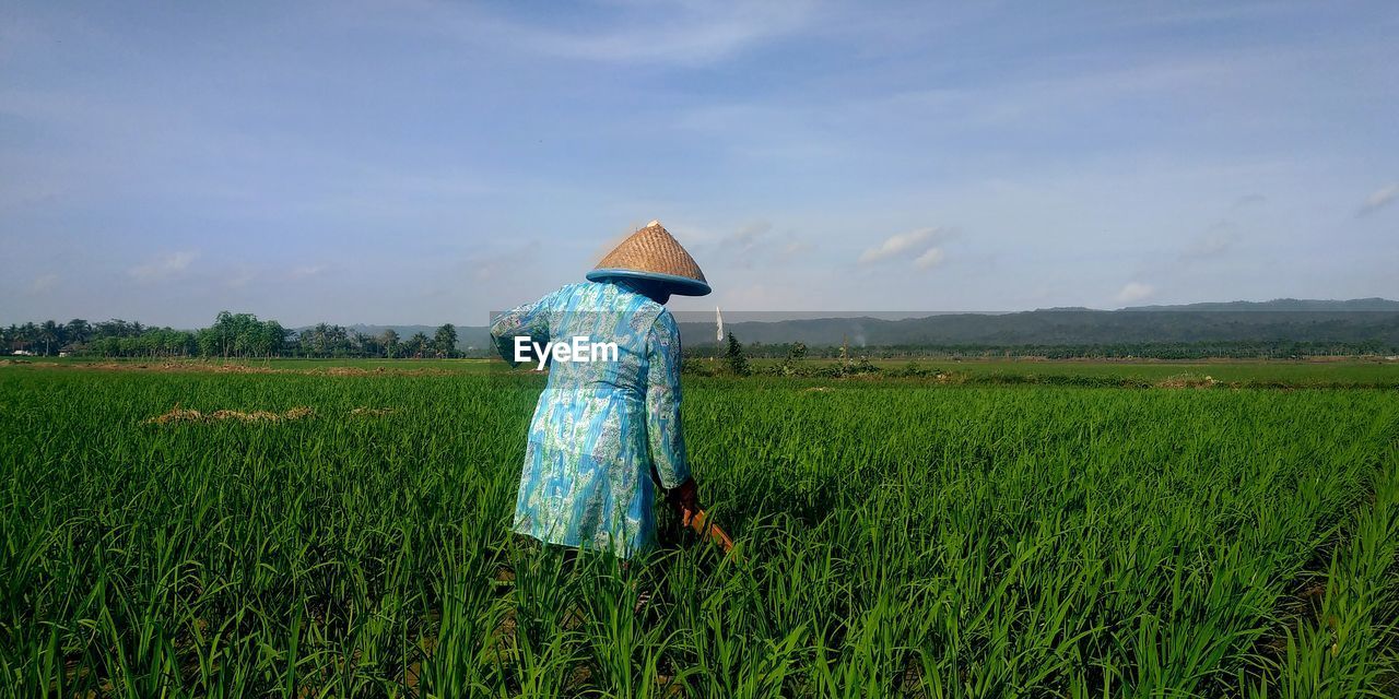 Farmers in the fields