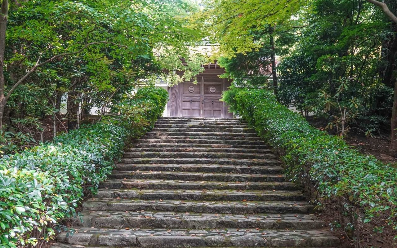 STAIRCASE AMIDST TREES