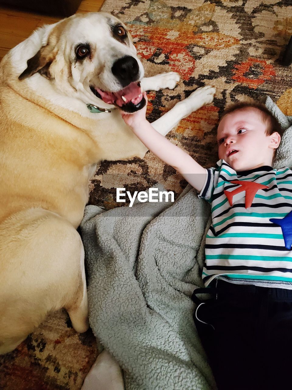 FULL LENGTH OF BOY WITH DOG ON BED