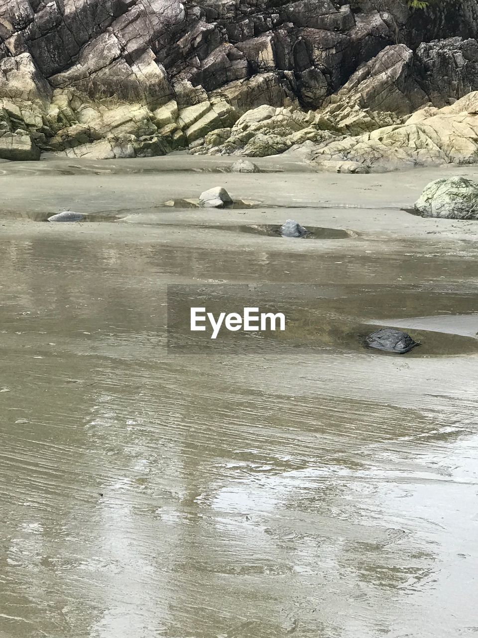 SCENIC VIEW OF RIVER AMIDST ROCKS