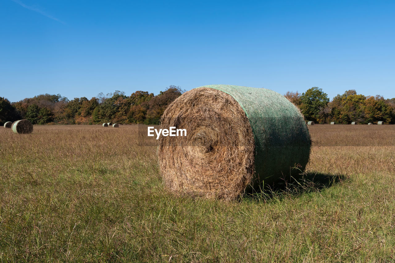 Round hay bale in a farm field on a sunny afternoon.