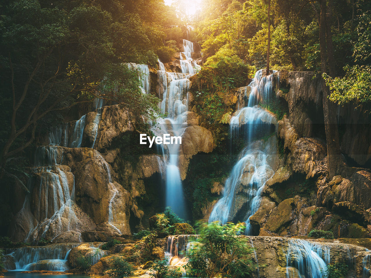 View of waterfall in forest