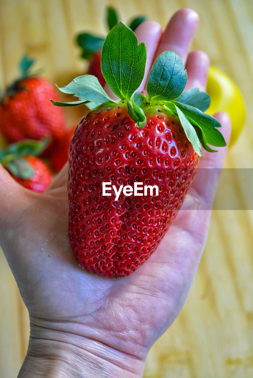 CLOSE-UP OF HAND HOLDING STRAWBERRY WITH STRAWBERRIES