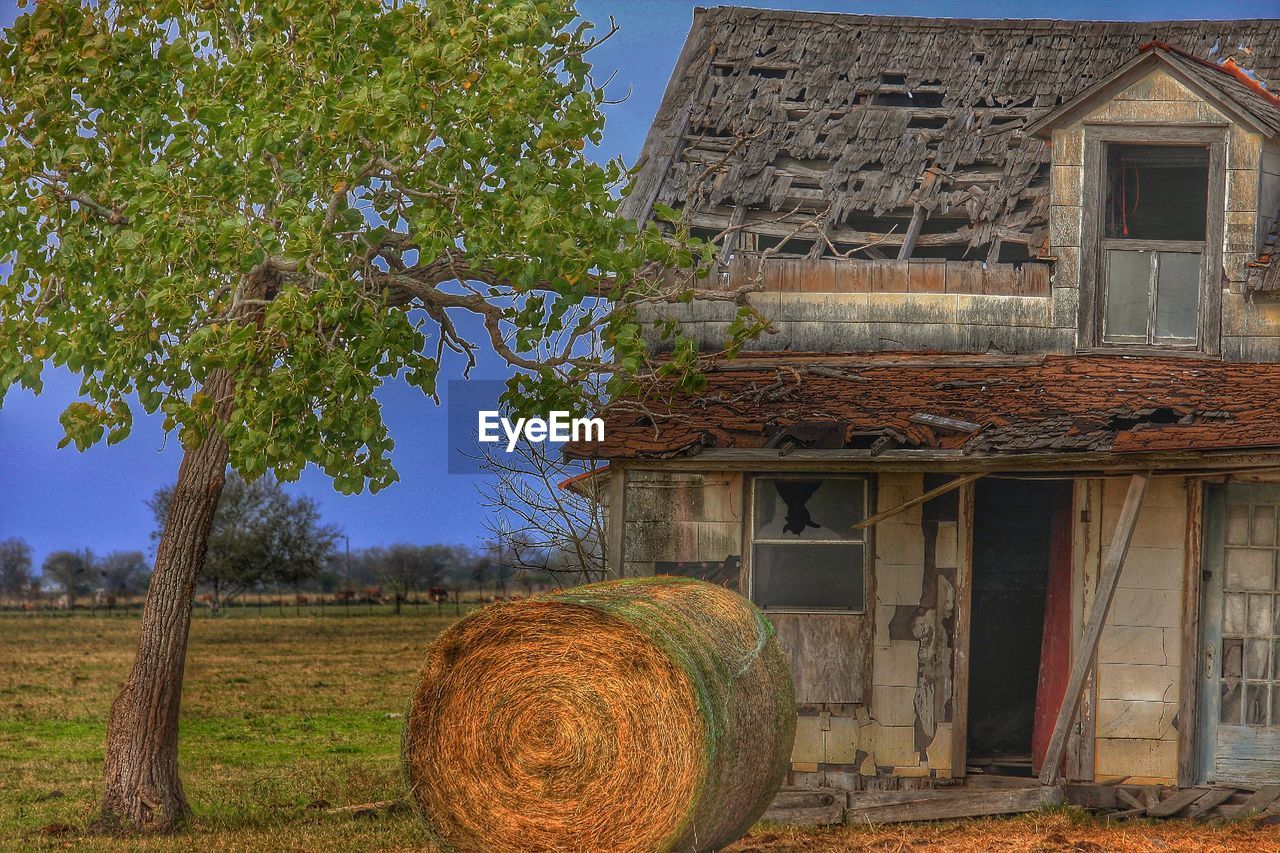 HOUSES WITH TREES IN FOREGROUND