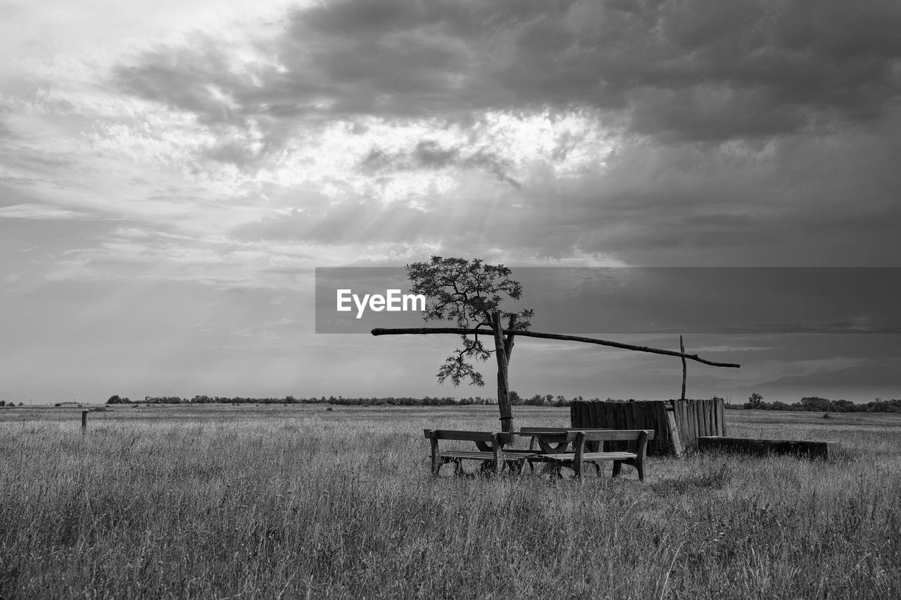 sky, cloud, plant, field, landscape, land, nature, horizon, environment, rural area, rural scene, black and white, agriculture, grass, monochrome, monochrome photography, no people, prairie, farm, beauty in nature, outdoors, day, scenics - nature, tranquility, tree, growth, crop, plain, tranquil scene