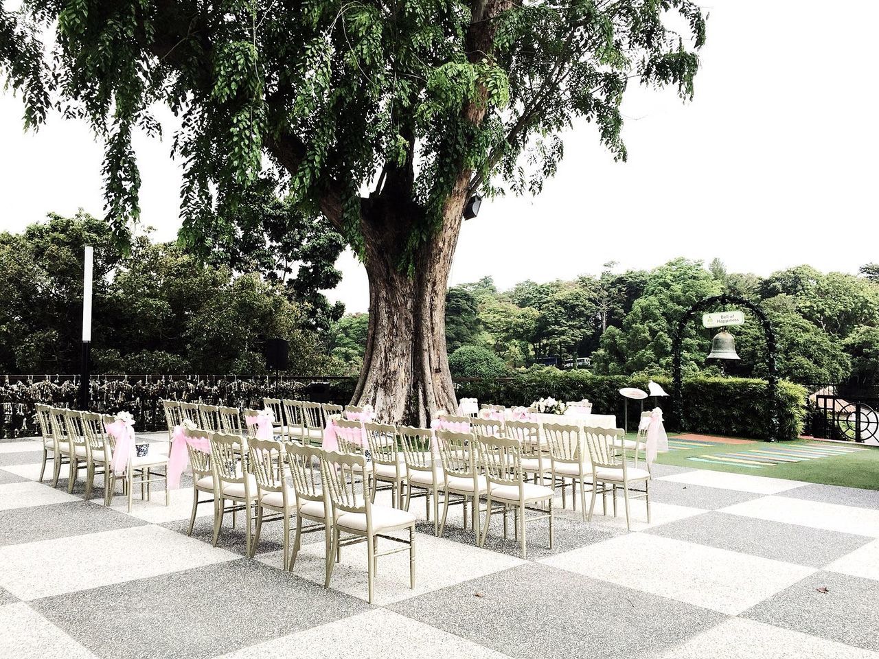 TREES IN PARK AGAINST SKY