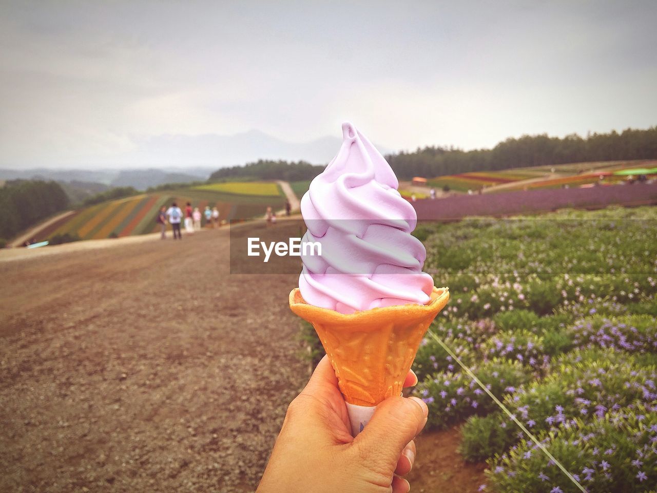 Cropped image of person holding ice cream on field