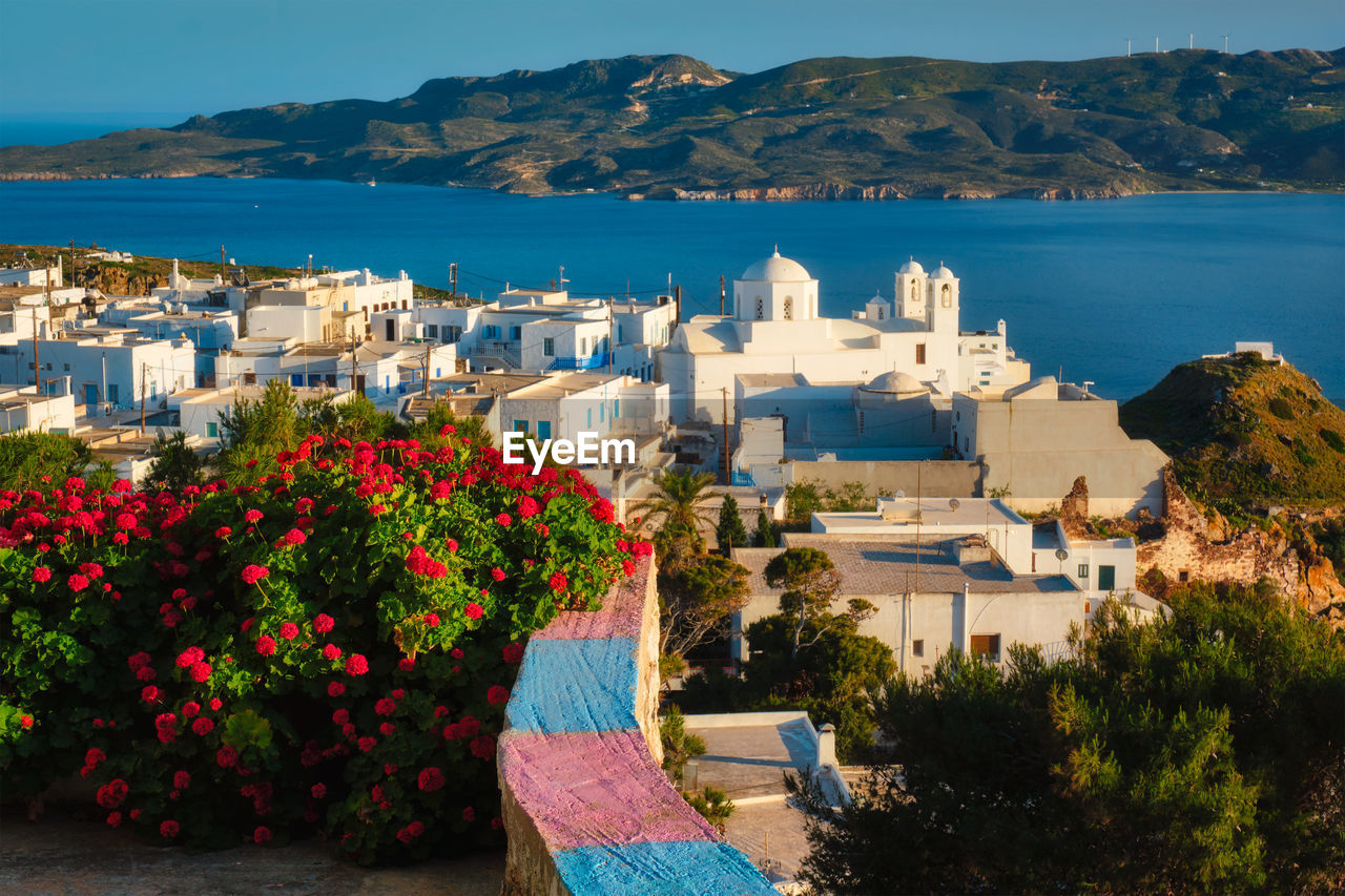 Picturesque scenic view of greek town plaka on milos island over red geranium flowers