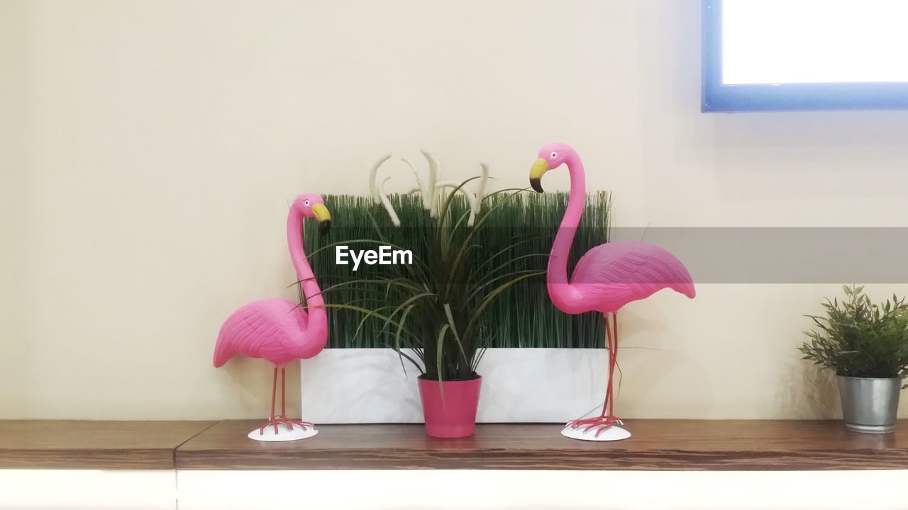 CLOSE-UP OF PINK FLOWERS IN VASE AGAINST WALL