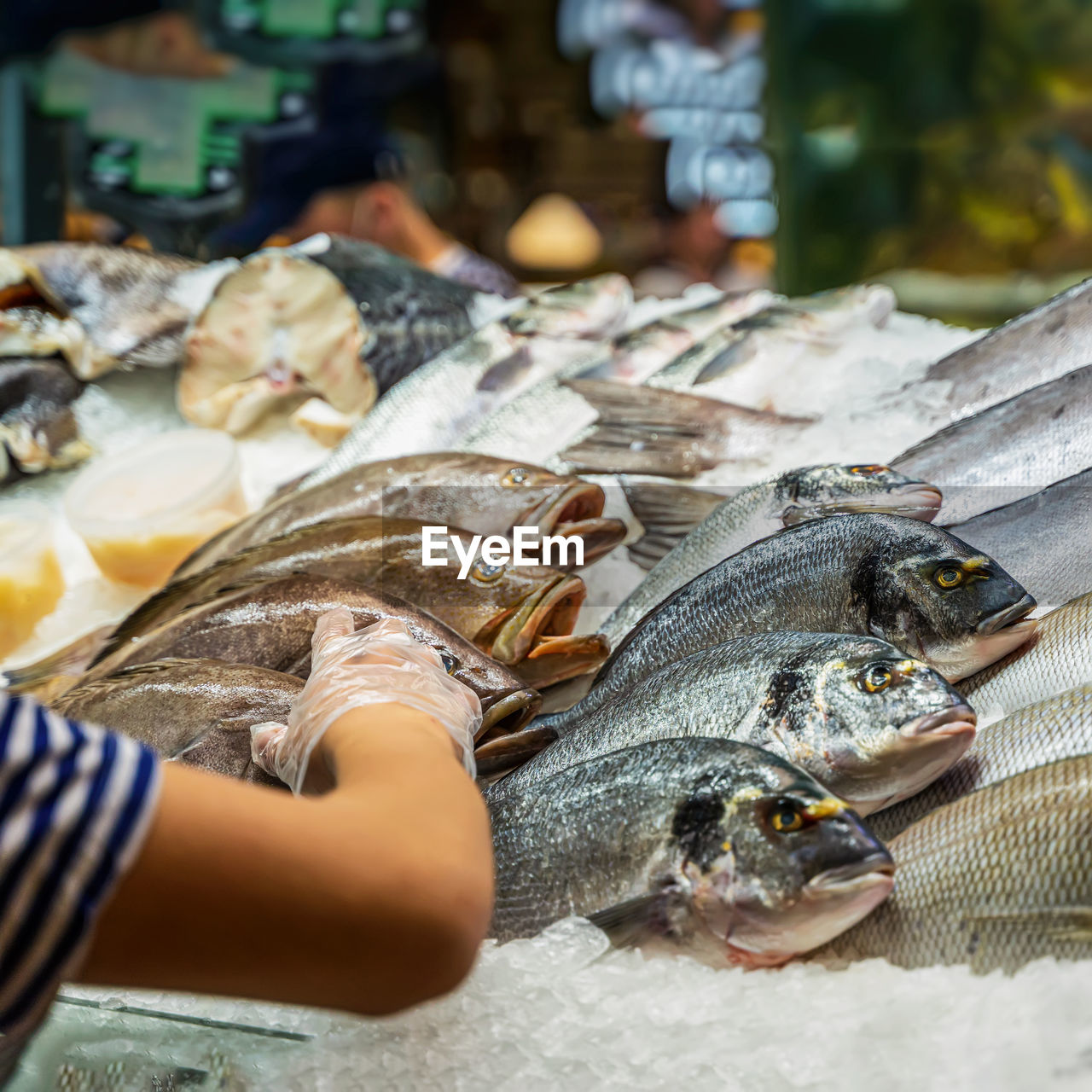 Cropped hand of woman working at fish market