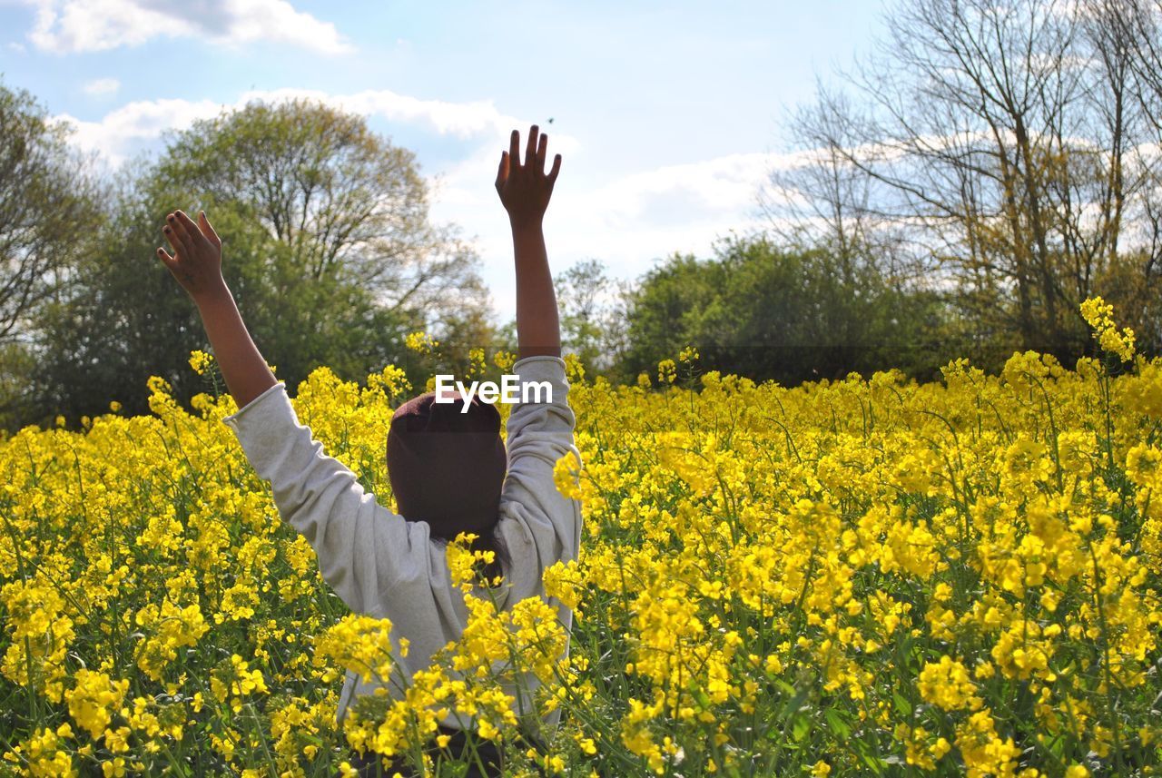 Rear view of woman with arms raised standing amidst yellow flowers on field against sky during sunny day