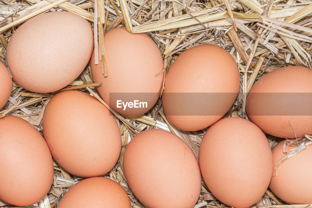 Freerange fresh raw eggs on straw background