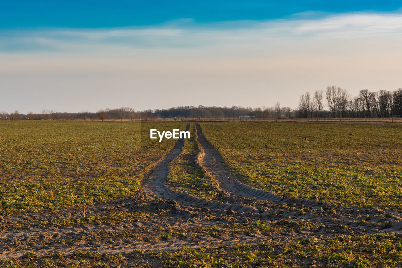 Scenic view of field against sky