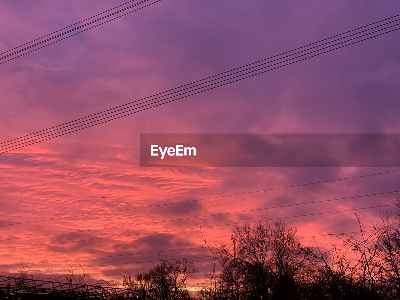 Low angle view of silhouette trees against sky during sunset